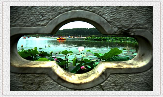風(fēng)景那邊獨(dú)好