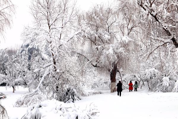 2018  初雪