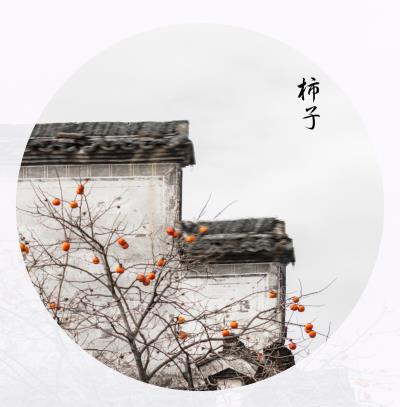皖南行