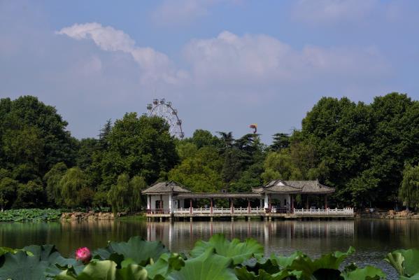 夏日龍湖公園