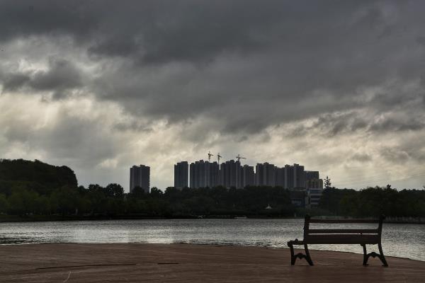 臺風利奇馬影響我市
