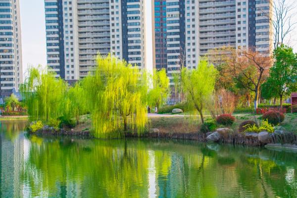 攝影：張春光   賦詩：胡鳳茹||古體· 為《春潤山南攝影》題圖