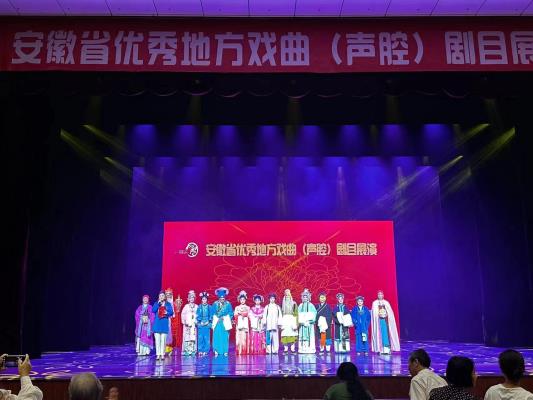 鳳臺推劇參加安徽省優秀地方戲曲（聲腔） 劇目展演