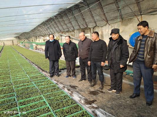 田家庵區關工委到曹庵愛心家庭農場調研農業科技工作
