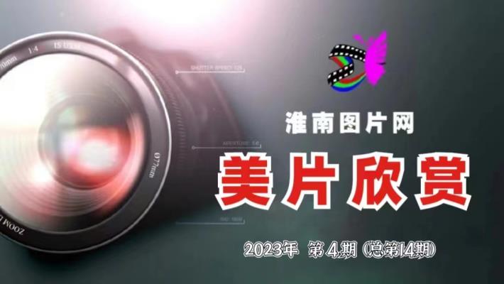 美片欣賞《荷》