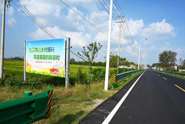 壽縣大順鎮(zhèn)：金秋大地美如畫