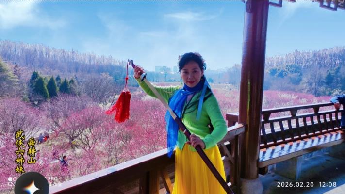 舜耕山梅亭武俠六姊妹