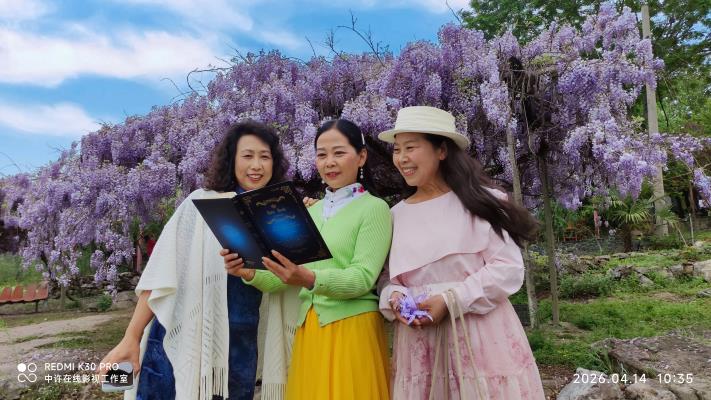 臥龍山春里木湖紫藤花開(kāi)