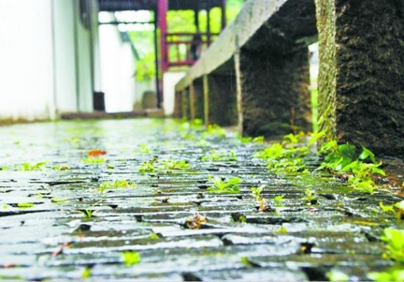 梅雨濕心情 .詩(shī)詞雅集