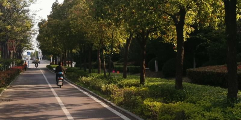 路邊拾春