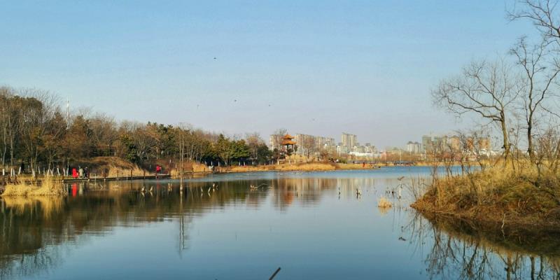 大通濕地公園