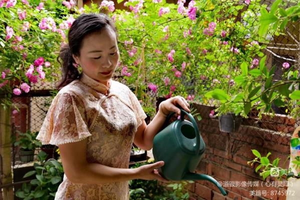 薔薇花開(kāi) 滿園春色