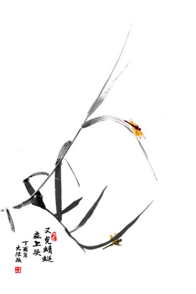 又見蜻蜓