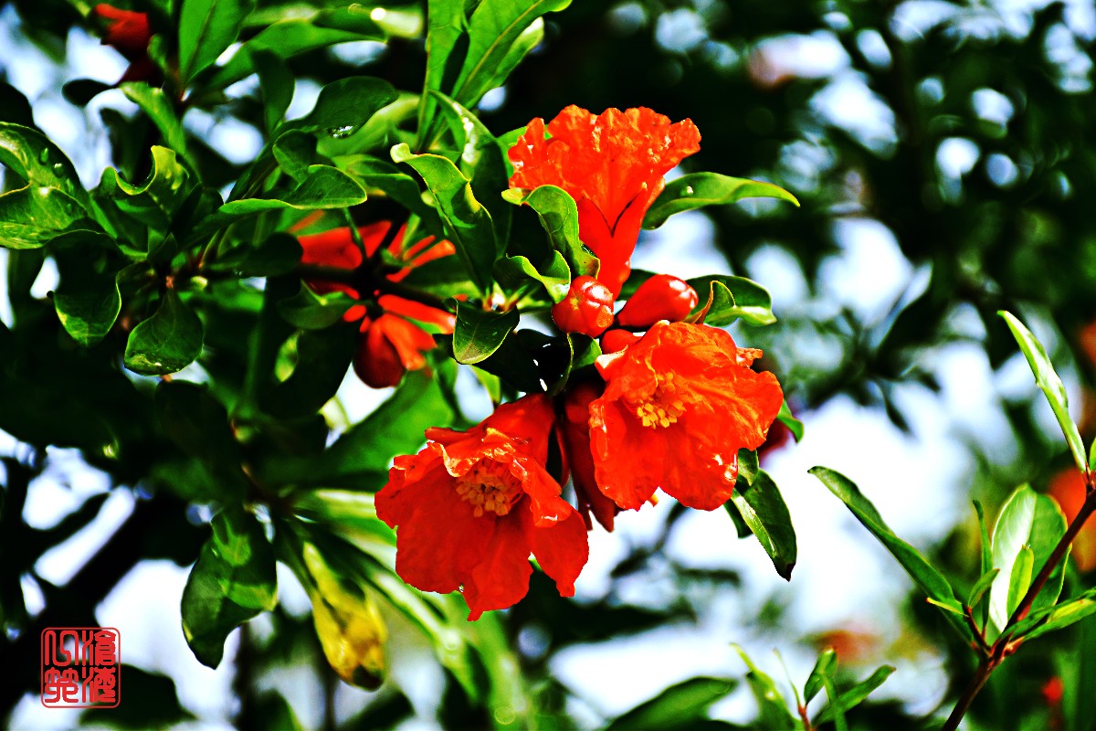 DSC_0003.JPG