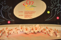 第三屆中國淮南國際少兒藝術(shù)節(jié)<<小荷風(fēng)采>>第二場(chǎng)