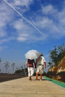 八公山漫步