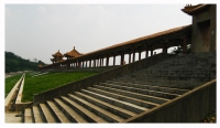 我的“百草園”