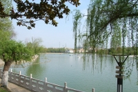 春到龍湖