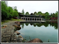 鮑家花園