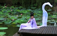 出水芙蓉