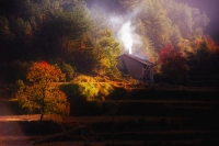 岳西紅葉