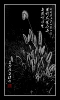 離離原上草