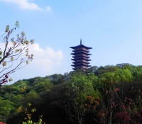 紫蓬山風景