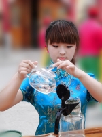 七碗茶瓜片制作評鑒會(huì)習(xí)作