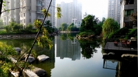 小區(qū)晨拍