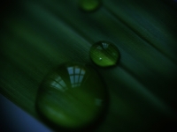 窗前