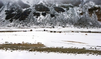雪域高原帕米爾