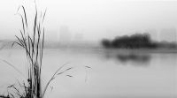 水墨龍湖