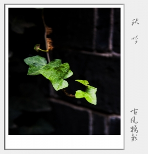 秋吟