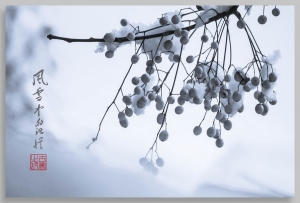 風(fēng)雪中的記憶