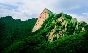 春山映日紅
