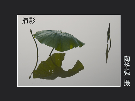 捕影