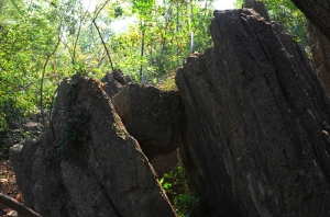 八公山石林