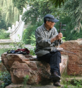 弦曲人生
