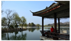 龍湖春綠