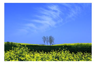 香滿田園