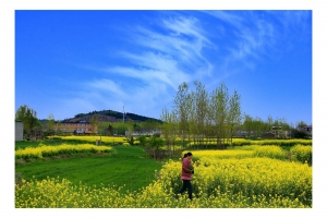 淮南鄉村隨想曲
