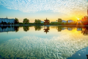 夏日陽(yáng)光