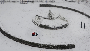 春雪